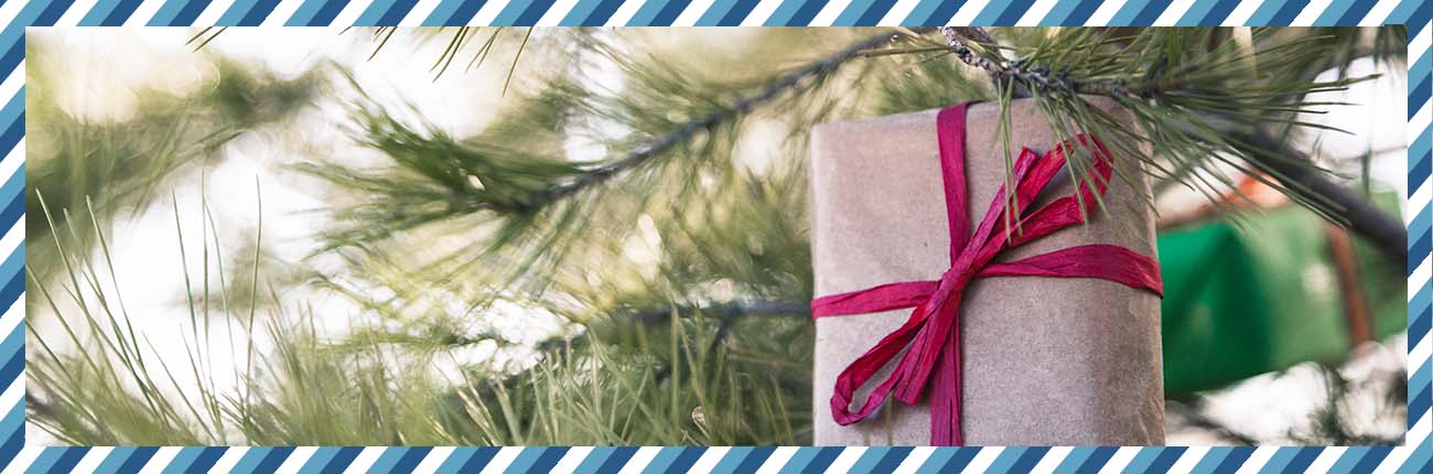 This is a header image of 5 TIPS TO FOLLOW A BUDGET-FRIENDLY CHRISTMAS & NEW YEAR GIFTING on www.sublimelife.in