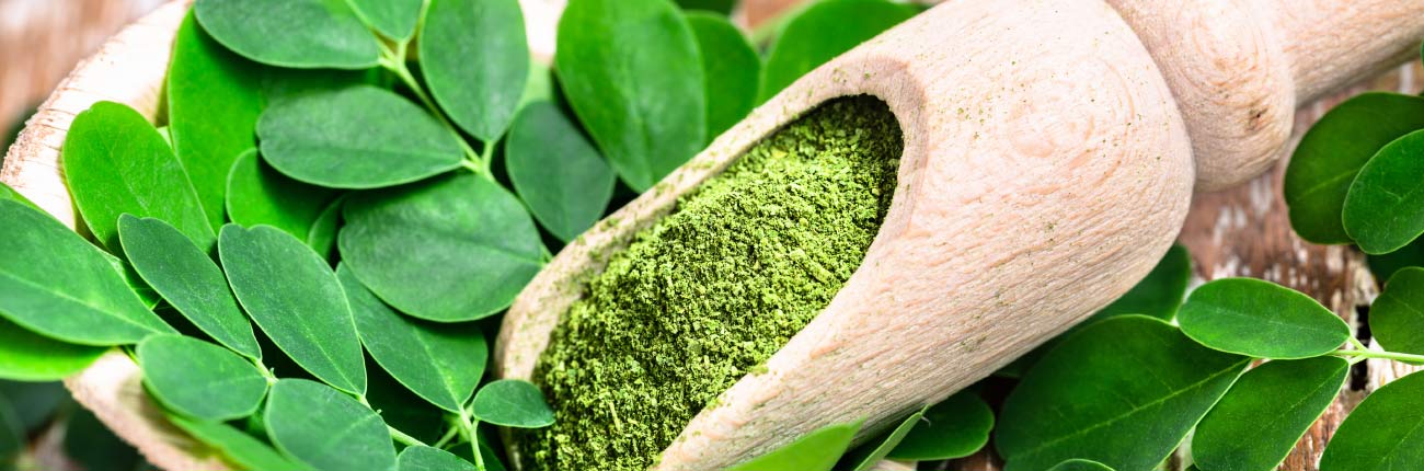 This is a blog on Moringa for smooth and dewy skin on www.sublimelife.in
