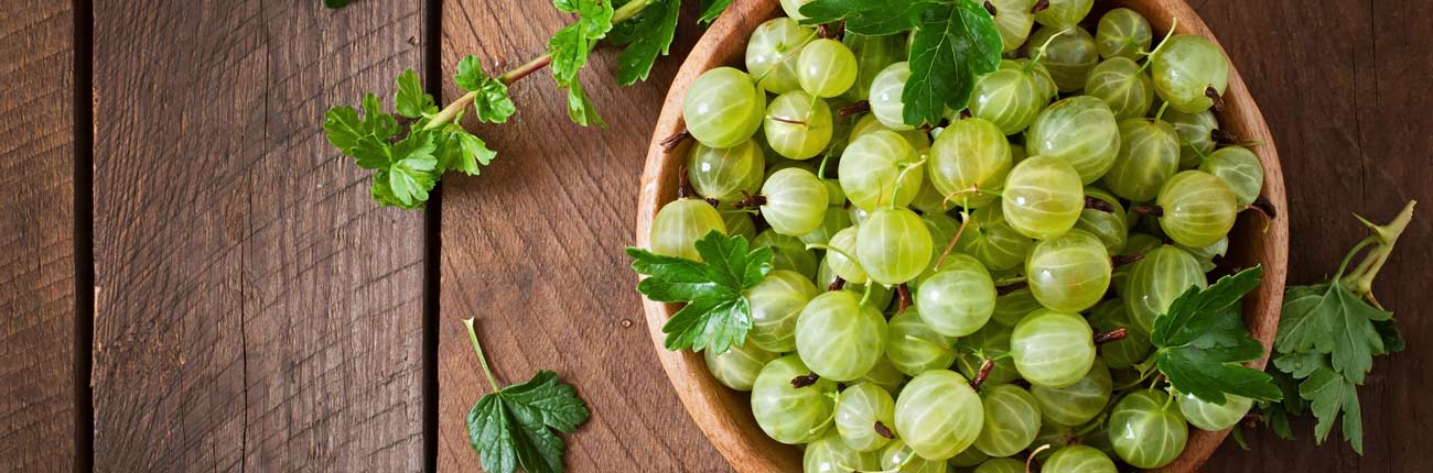 This is an image for a blog on Amla in haircare on www.sublimelife.in