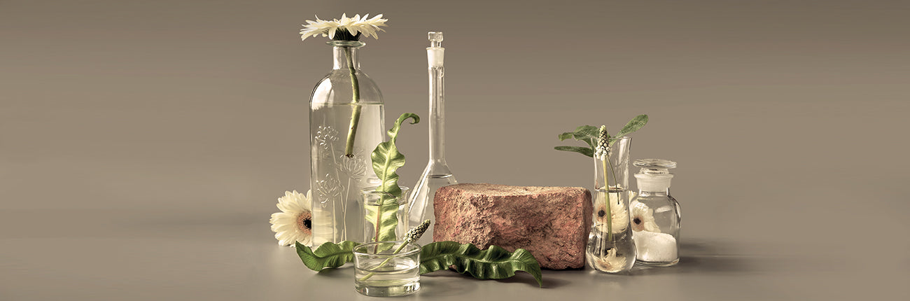 This is a header image of What does Clean Beauty really Mean? Decoding common ingredients in skincare and our strict 'No List' on www.sublimelife.in