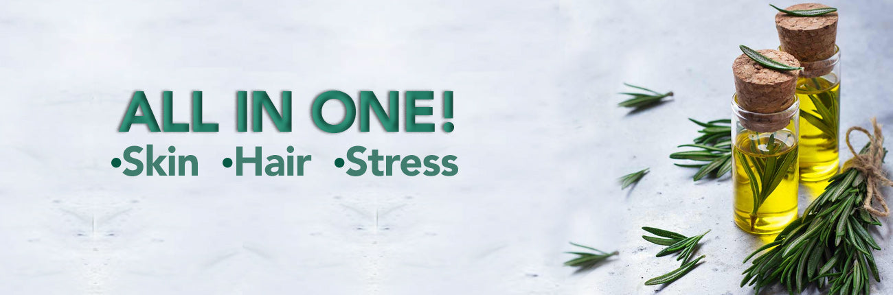 This is an image for a blog on Rosemary on www.sublimelife.in