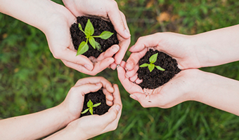 This is an image for the article on 8 clean beauty and sustainable lifestyle bloggers of 2020.