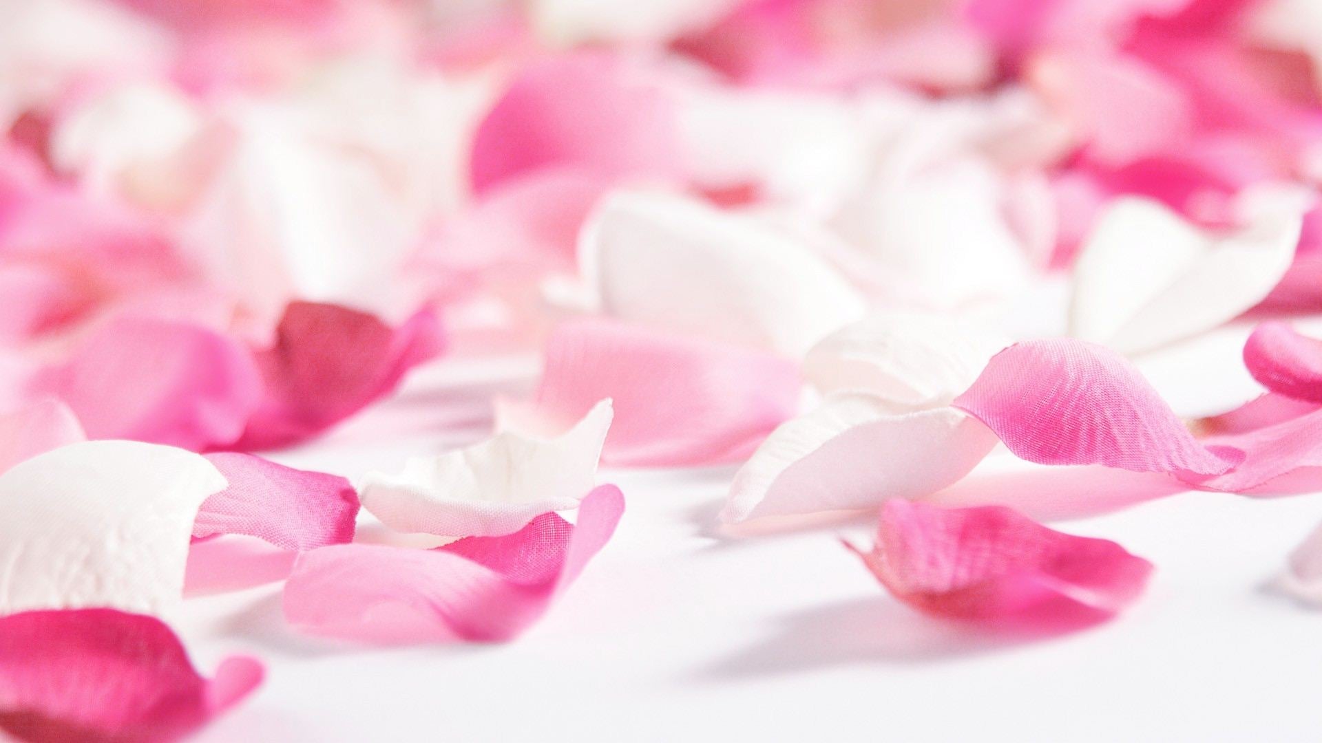 Collection of Clean and toxin free skincare range containing rose as an active ingredient on sublimelife.in