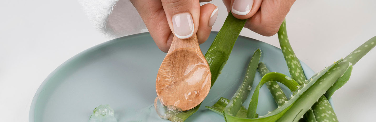 This is a header image of For all skincare, haircare and body care woes: Aloe Vera on www.sublimelife.in
