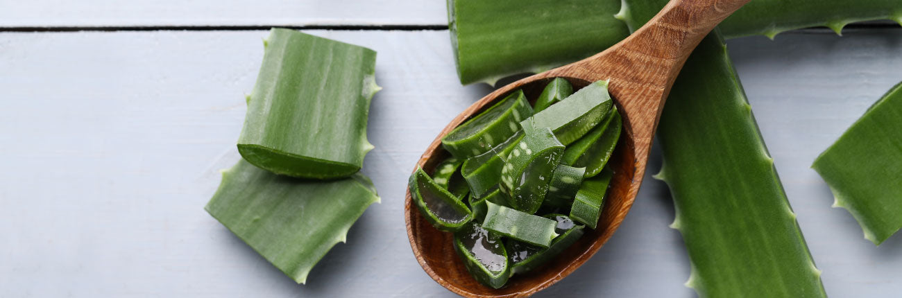 This is an image of Aloe Vera for a blog on Aloe Vera and its benefits on www.sublimelife.in 