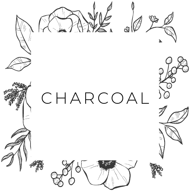 Collection of Safe & Effective Clean natural skincare containing Charcoal on sublimelife.in