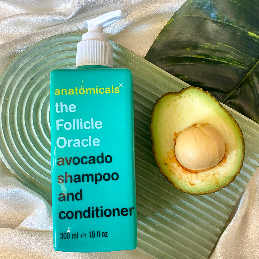 Anatomicals The Follicle Oracle Avocado Shampoo And Conditioner